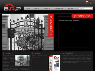 Miniaturka bau-aus-pol.com