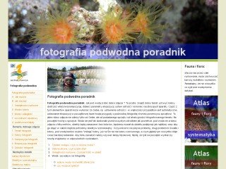 Miniaturka fotografiapodwodna.com