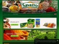 Podgląd savarro.pl