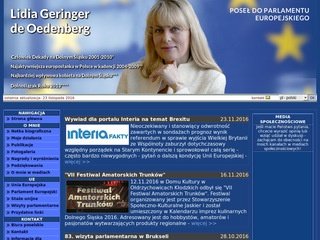 Podgląd lgeringer.pl