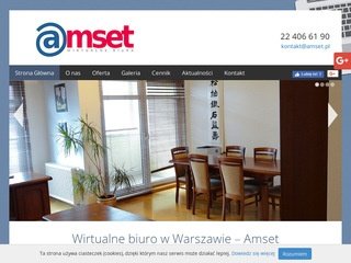 Podgląd amset.pl