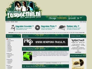 Podgląd portal.respecthh.pl