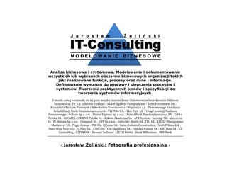Miniaturka it-consulting.pl