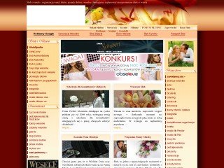 Podgląd slub-wesele.pl