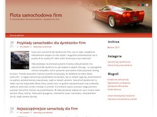 Miniaturka e-flota.com.pl