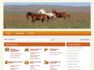 Podgląd pc-lider.pl