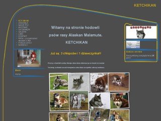 Podgląd ketchikan.pl