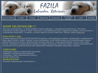 Miniaturka fazila.webpark.pl