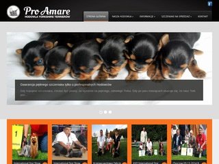 Miniaturka proamare.com