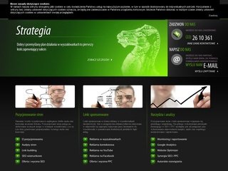 Podgląd directtraffic.pl