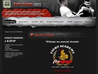 Podgląd street-fighting.com.pl