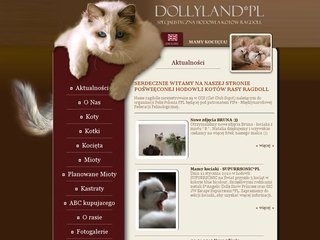 Podgląd dollyland.pl