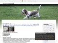 Podgląd zoopsycholog.blox.pl