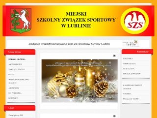 Podgląd mszs.lublin.pl