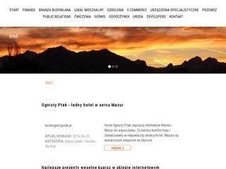Podgląd emfi.com.pl