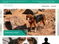 Podgląd beagle24.pl