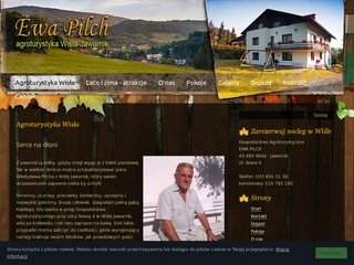 Podgląd ewapilch.com