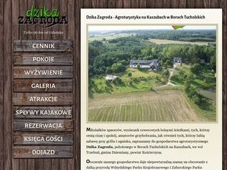 Miniaturka nakaszubach.pl