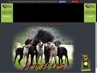 Podgląd arhus.prv.pl