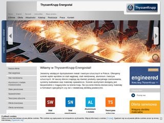 Podgląd energostal.pl