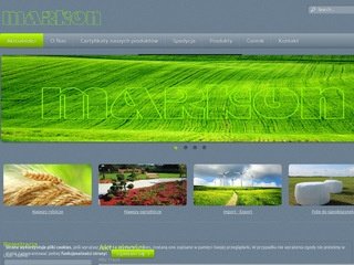 Miniaturka phumarkon.pl