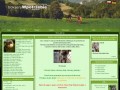 Podgląd fundacja-bokserywpotrzebie.pl