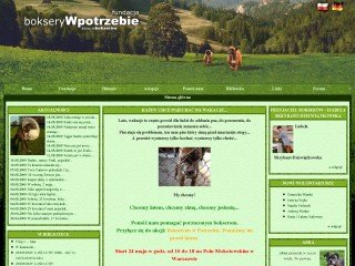 Podgląd fundacja-bokserywpotrzebie.pl