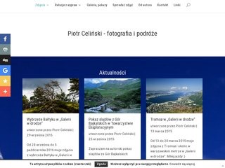Podgląd piotrcelinski.info