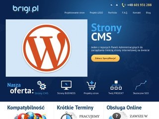 Podgląd brigi.pl