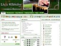 Podgląd liga-kibicow.pl
