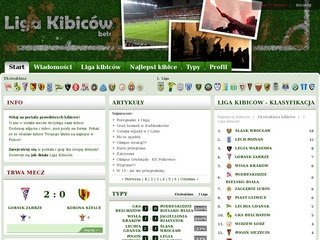 Podgląd liga-kibicow.pl