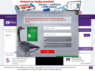 Podgląd translatica.pl
