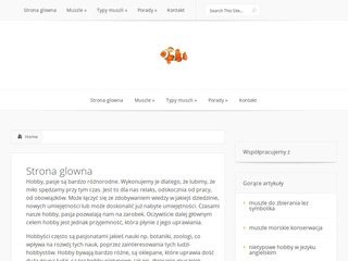 Podgląd muszle.net.pl