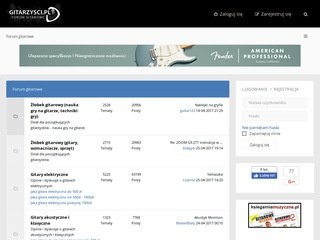 Podgląd gitarzysci.pl