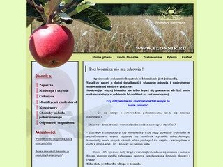 Podgląd blonnik.eu