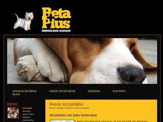 Podgląd beagle.strona.pl