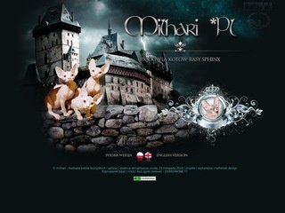 Podgląd milhari.pl