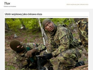 Podgląd tlux.pl