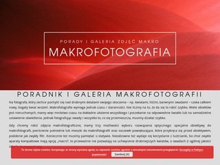 Podgląd makrofotografia.com.pl