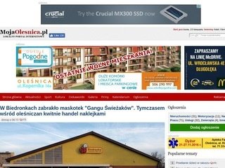 Miniaturka mojaolesnica.pl
