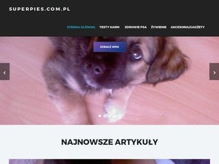 Podgląd superpies.com.pl