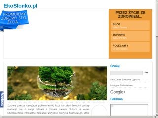 Podgląd ecomotyl.pl