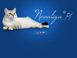 Podgląd nevaliya.pl
