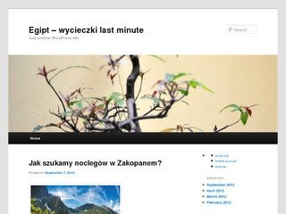 Podgląd wycieczki-egipt.pl