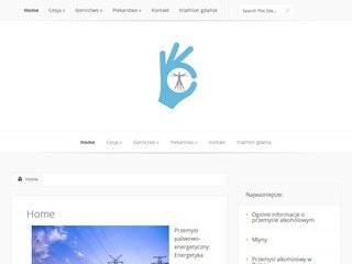 Podgląd itwmsp.pl