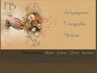 Podgląd blachnio.com.pl
