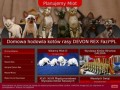 Podgląd devon-rex.pl