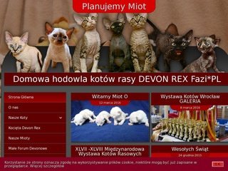 Podgląd devon-rex.pl