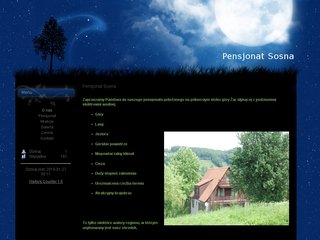 Podgląd pensjonat-sosna.pl