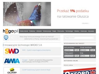Podgląd hoga.pl